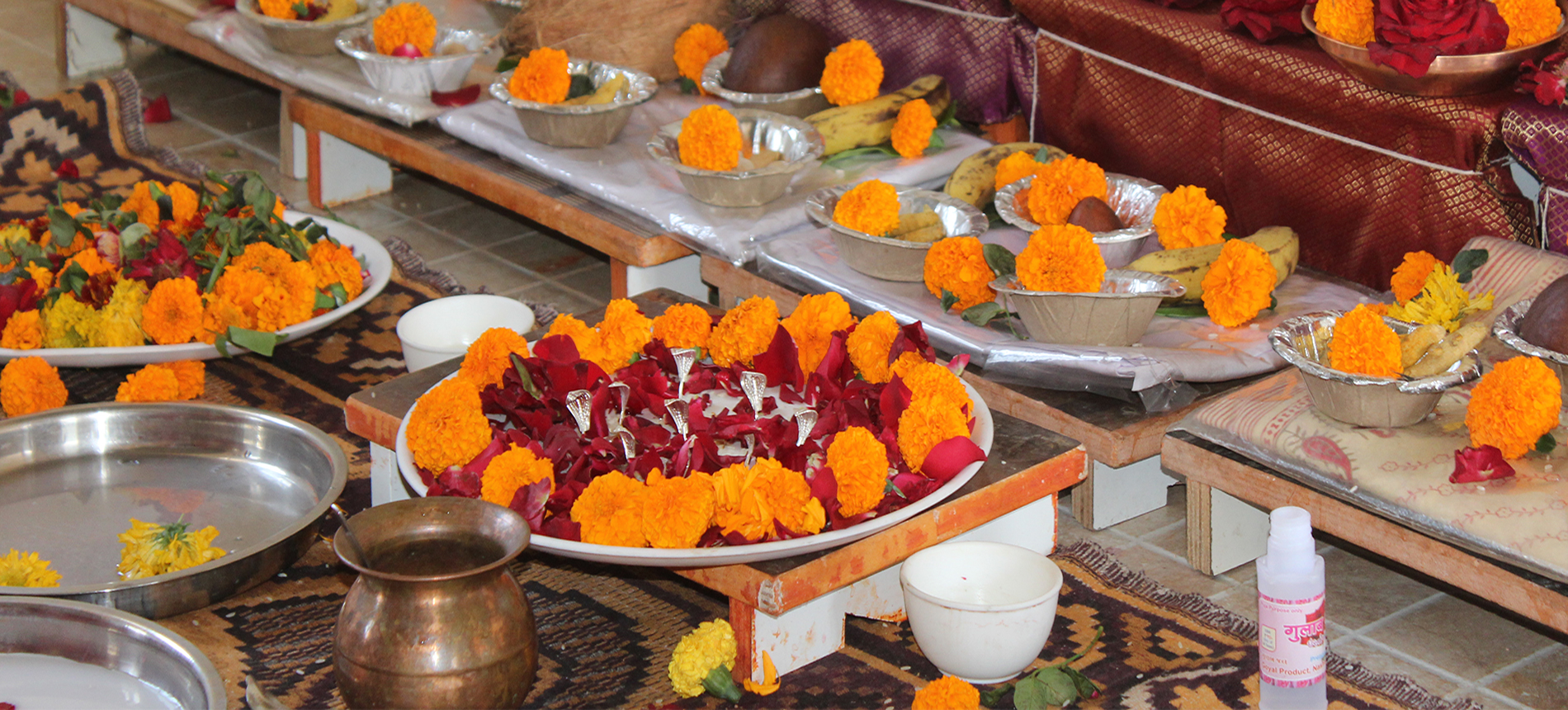 Kaal Sarp Puja