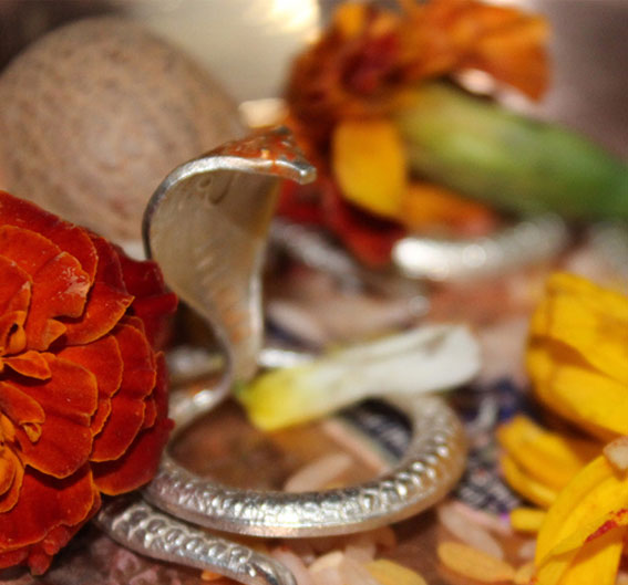Narayan Nagbali Puja